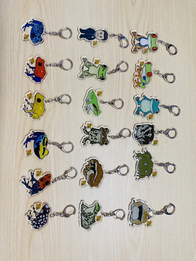 KawaZooオリジナル アクリルキーホルダー アイゾメヤドクガエル