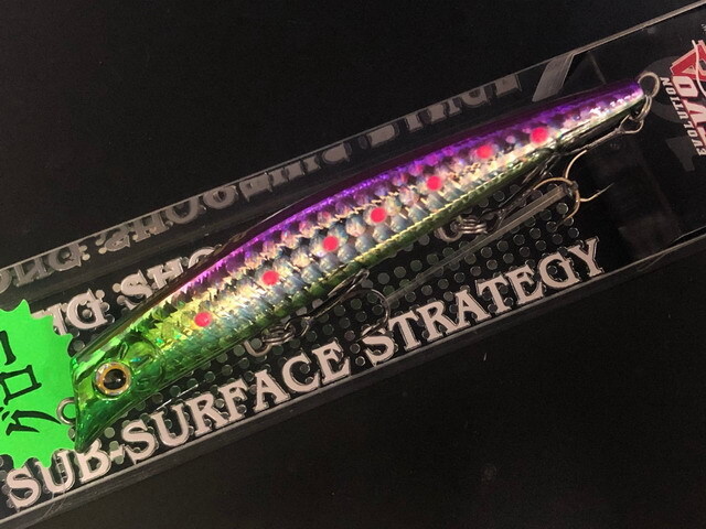 GAEA AREA10 EVO（ガイア エリア10エボ）【シーバスルアー専門店