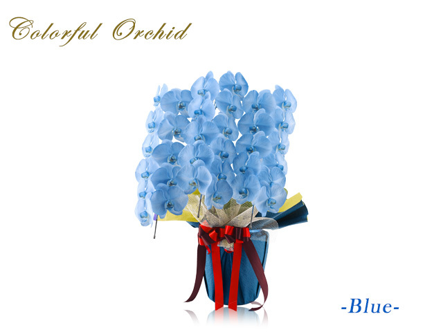 胡蝶蘭（青）の一覧ページ｜胡蝶蘭園.com【秘書が選ぶ胡蝶蘭専門サイト