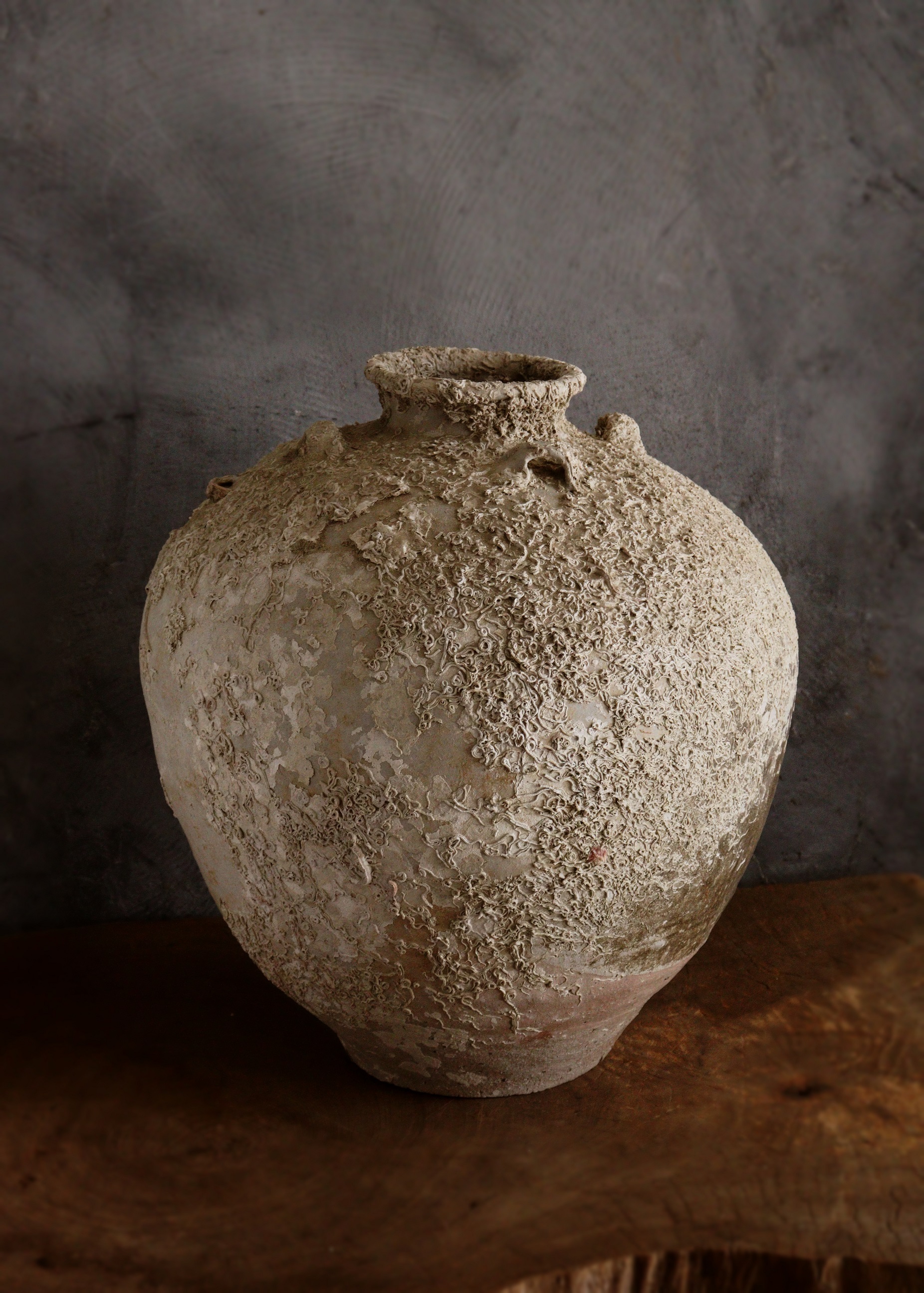 海底遺跡 海上がり壷 古陶磁 四耳壷 骨董 古美術 中国美術