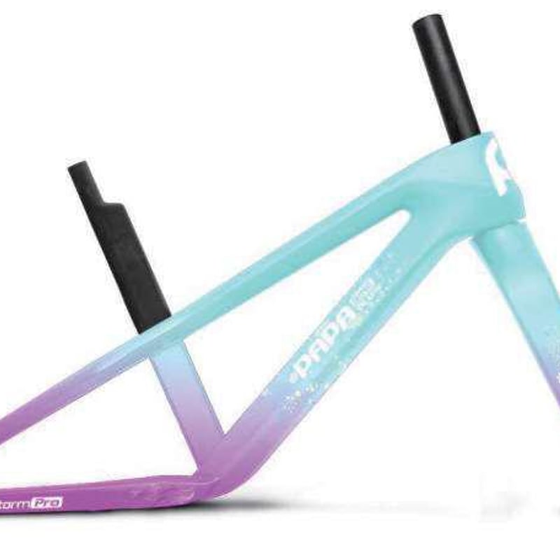 STORM PRO | PAPABIKE JAPAN