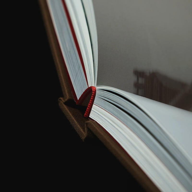 NICENESS Archive book 2022 | MusterWerk