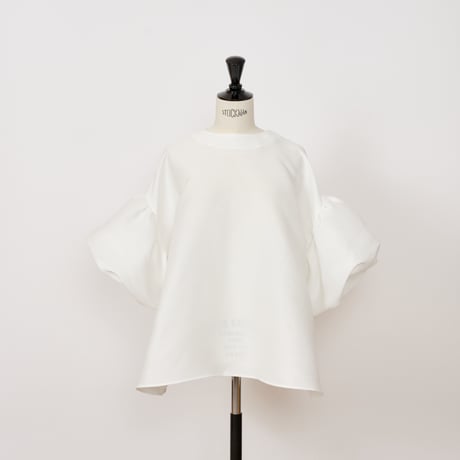 ITEM | HEVE