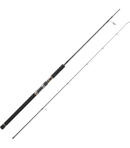 Amazon | ダイワ(DAIWA) ジギングロッド ヴァデル・Y J60MB・Y 釣り竿
