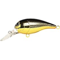 51SFSgT3CeL._AC_UL210_SR210,