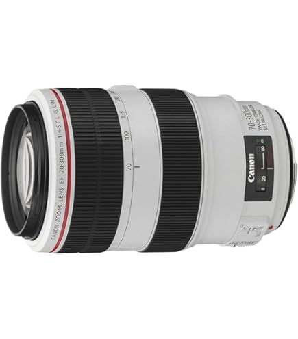 Amazon.co.jp: Canon EF 35-350mm F3.5-5.6L USM : 家電＆カメラ