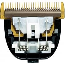 Amazon.co.jp: ウィルキンソン・ソード W2（ダブルツー）替刃 5個×24