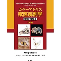 61sndUsZQzL._AC_UL210_SR210,