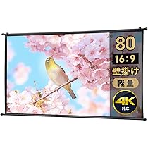 Amazon | イーサプライ プロジェクタースクリーン 80インチワイド 16:9