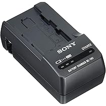 Amazon | SONY(ソニー) ビデオカメラ用バッテリー リチャージャブル