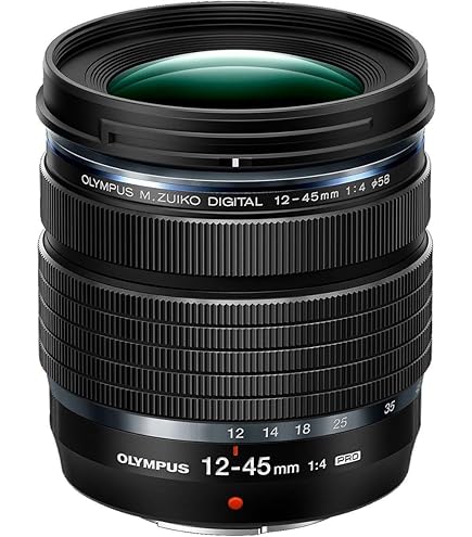 Amazon.co.jp: シグマ 10-20mm F4-5.6 EX DC HSM フォーサーズ用 10