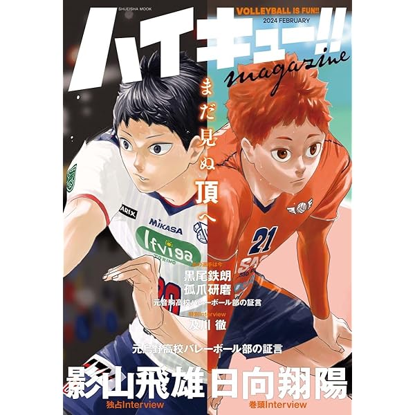ハイキュー!! ファイナルガイドブック 排球極! (ジャンプコミックス