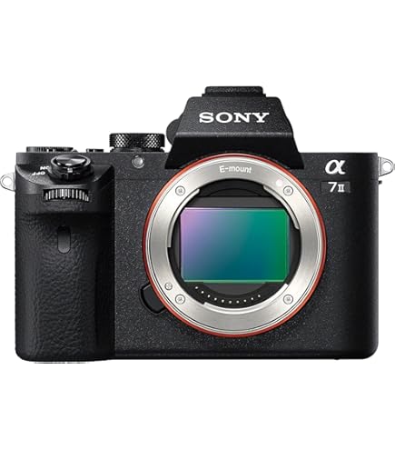 Amazon | NEX-3 ブラック SONY ボディ | デジタル一眼レフ 通販