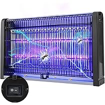 71xuTTo8FmL._AC_UL210_SR210,