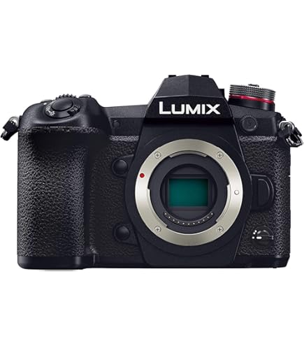 Amazon | パナソニック ミラーレス一眼カメラ ルミックス GH4 ボディ