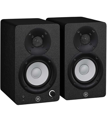 Amazon.co.jp: Roland MA-20D デジタルステレオマイクロモニター