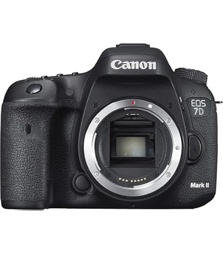 Amazon | Nikon D70 デジタル一眼レフカメラ レンズキット [AF-S DX