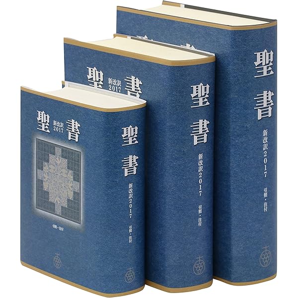 聖書 新改訳2017 中型スタンダード版 引照・注付 NBI-20 （いのちの