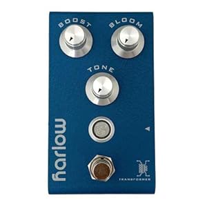 Bogner Ecstasy Blue - Bognerアンプのフラッグシップ「Ecstacy」の