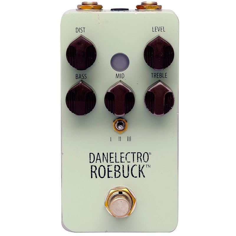 Danelectro ROE-1 ROEBUCK - IBanez MOSTORTIONのサウンドを復活させた