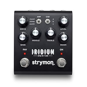 AMT Electronics D2 - ドイツ製アンプ「Diezel」のサウンドを再現した