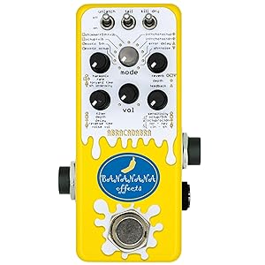 Bananana Effects AURORA - ディレイ音にピッチシフトがかかり挑戦的な