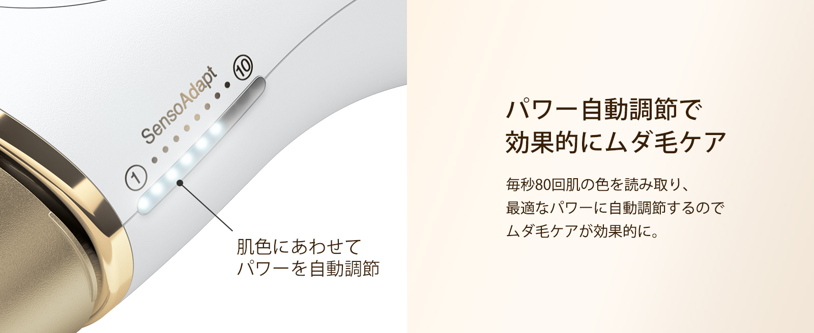 シルクエキスパート Pro5 PL5227