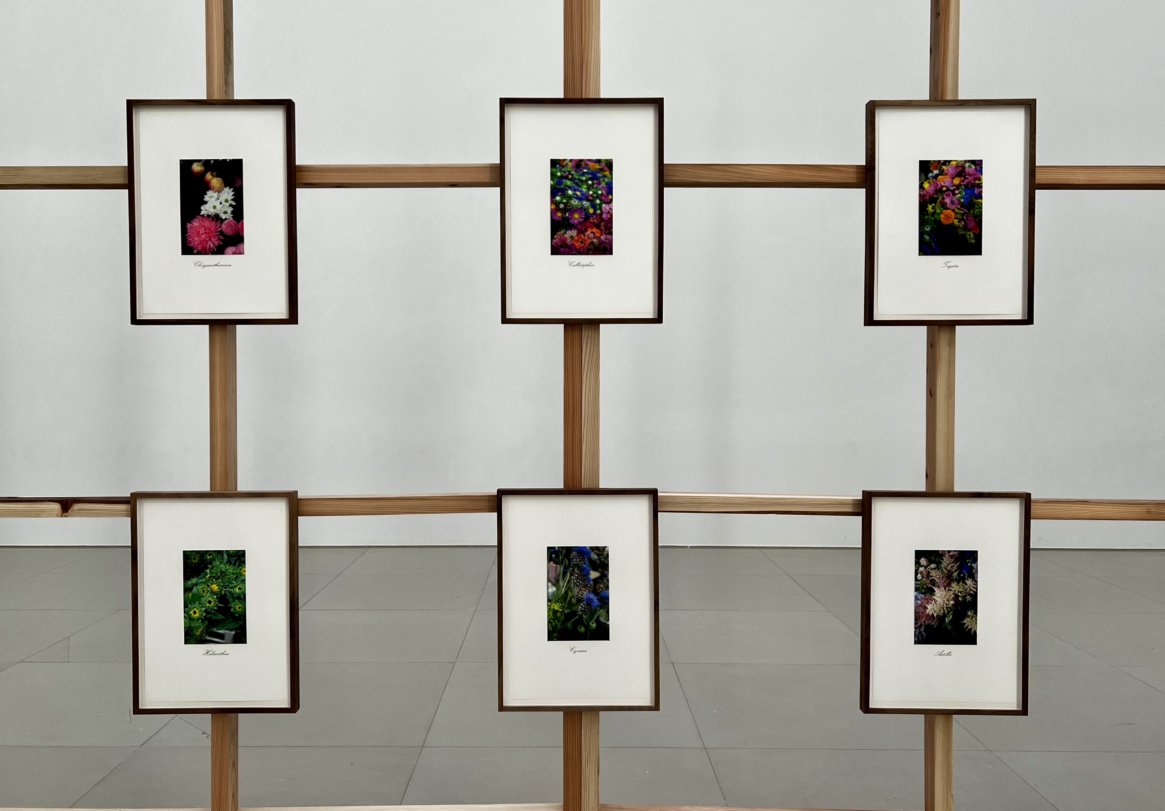 未完の始まり：未来のヴンダーカンマー」（豊田市美術館）レポート。5