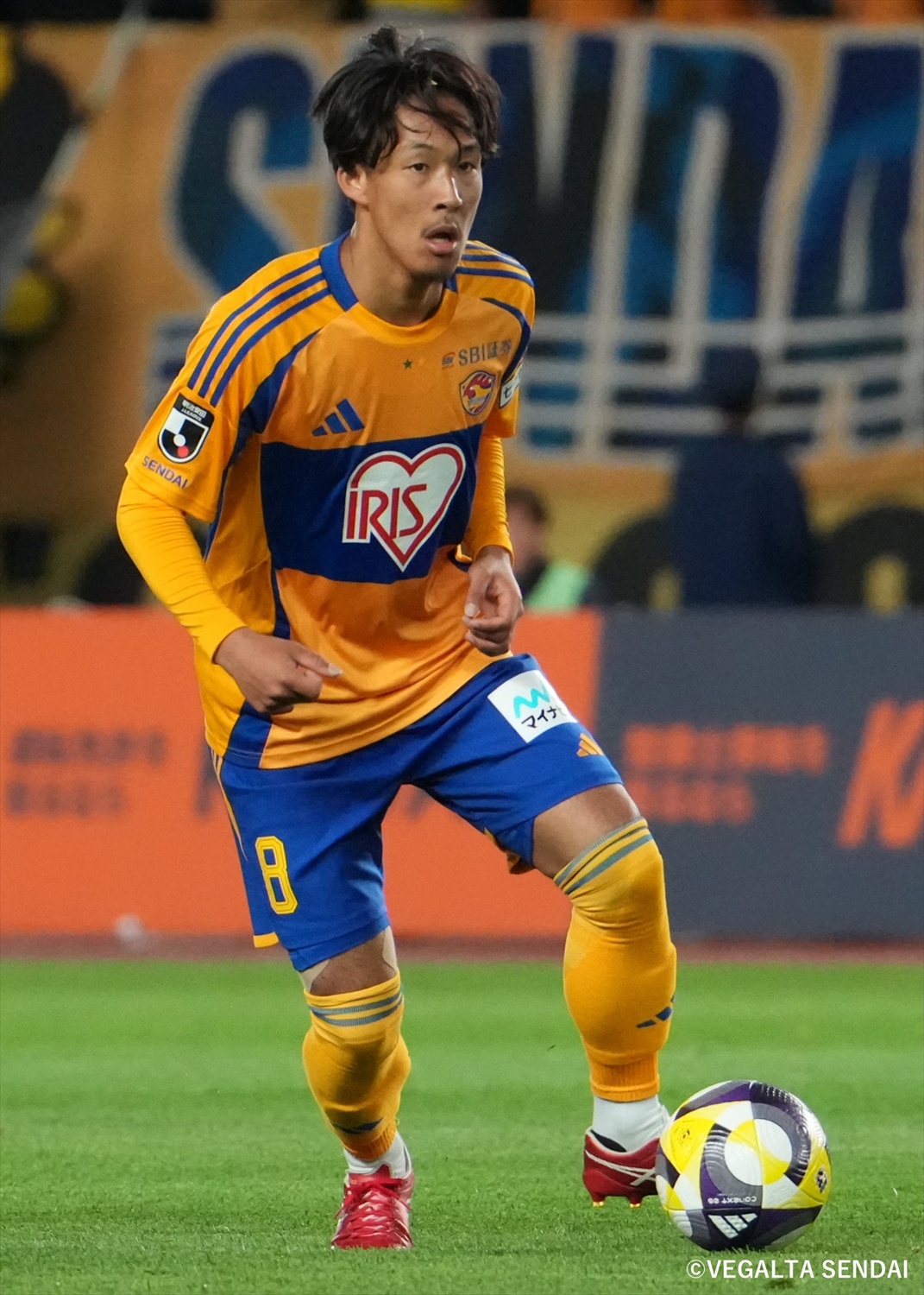 HATTRICK（ハットトリック）-選手の想いをファンへ届ける公式