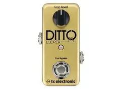 TC Electronic Ditto Looper Limited Edition Gold - What To Know