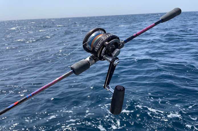 ディープライナー マニアフェロー46 ディープライナー マニアフェローズ46