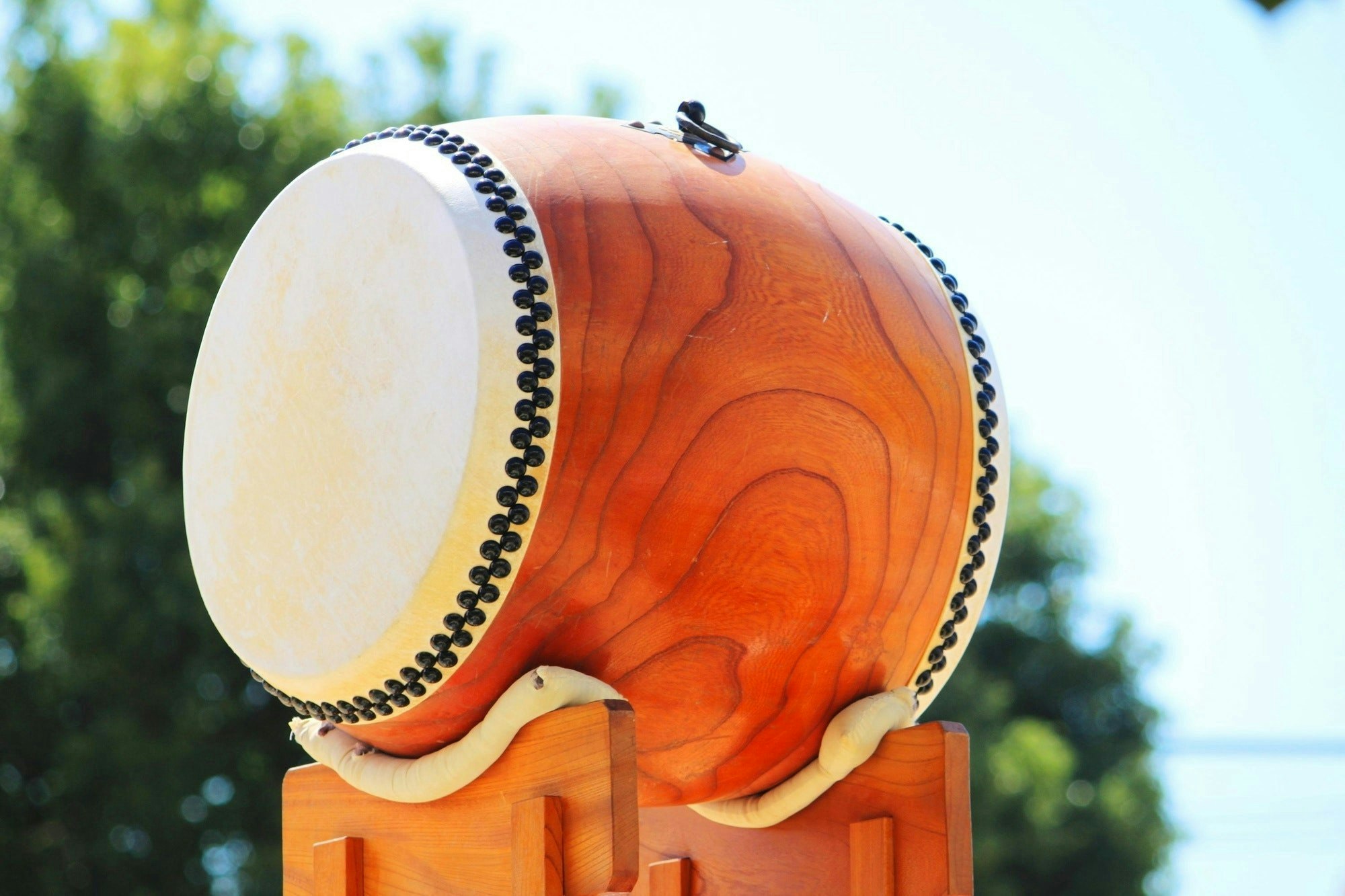 4e2103f91d1432a78a5cdf5fbeb858