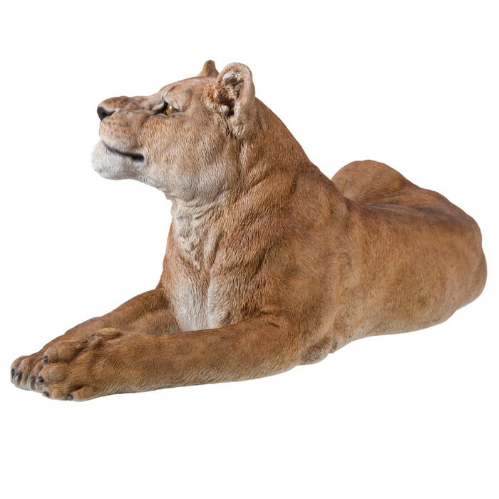 置物 お座りメスライオン 大 高さ46cm woobia ウービア 大きい