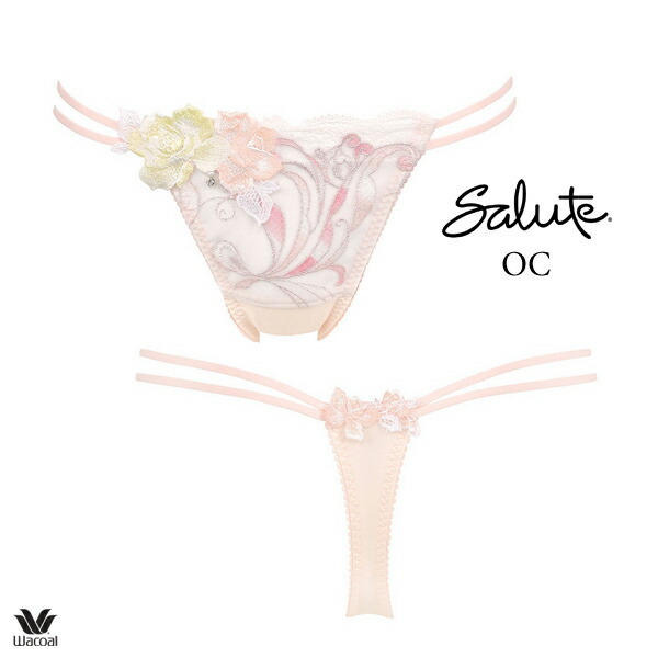 ワコール サルート 66G ショーツ PTJ466ML ソング（Tバック