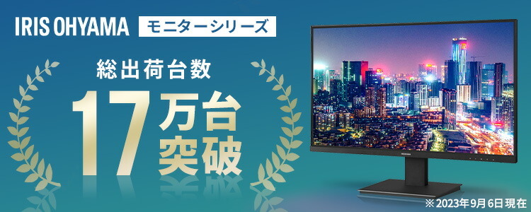 公式】 液晶モニター 29インチ ウルトラワイドモニター アイリス