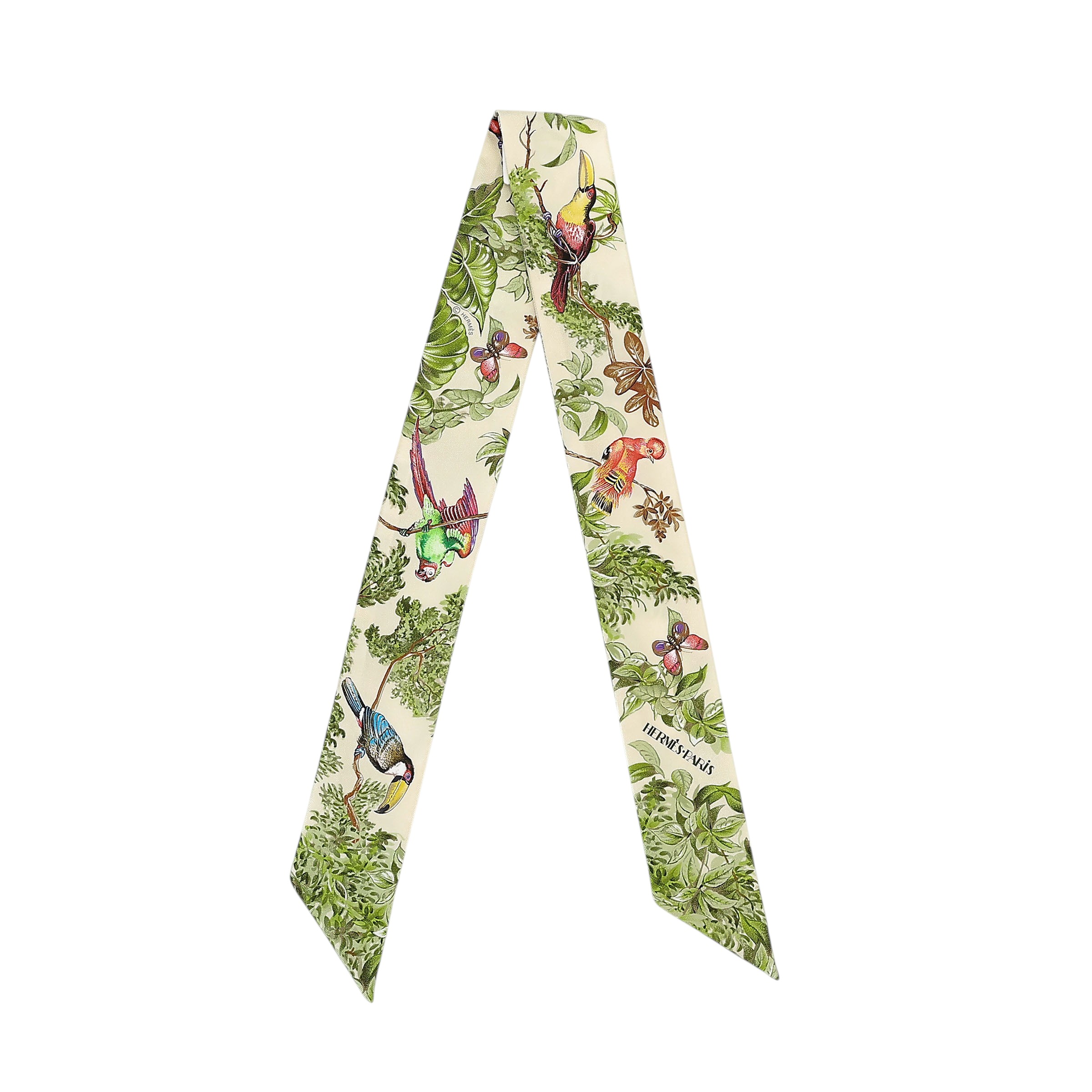 ランク N 新品 HERMÈS エルメス ツイリー 赤道直下 グリーン シルク