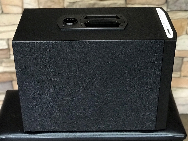 FISHMAN SA Sub 展示品（B級特価/送料無料）【楽器検索デジマート】