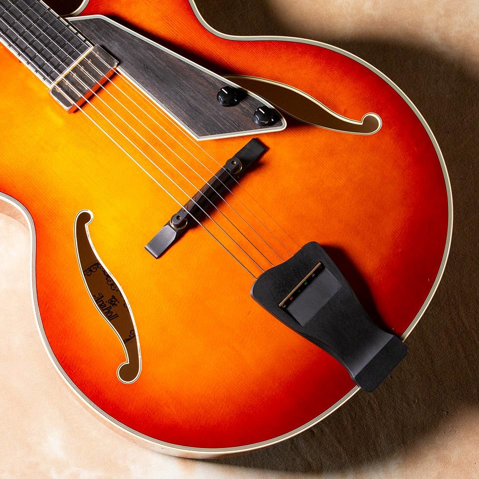 Aria Pro II FA-2100 ALB(Almond Burst)【お取り寄せ商品】（新品