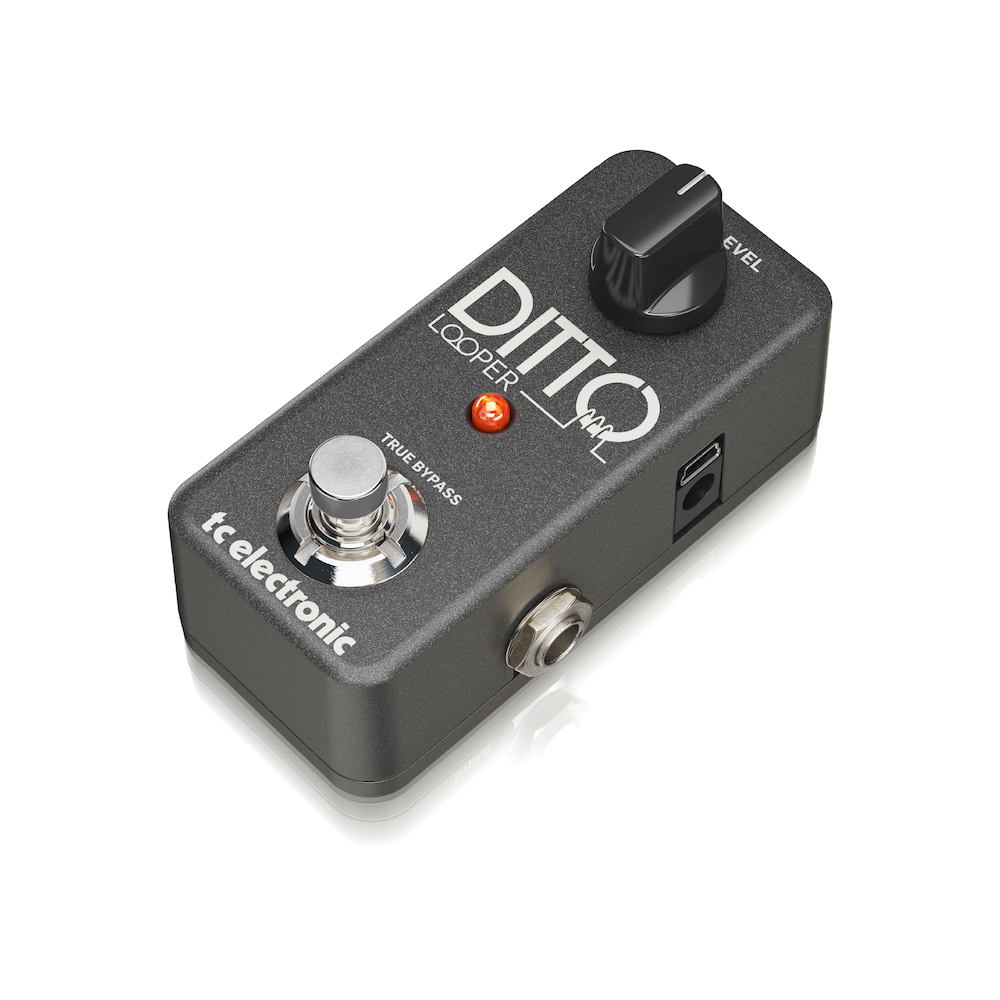 tc electronic DITTO LOOPER《ルーパー》【WEBショップ限定】（新品