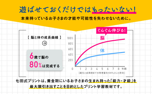 江津市限定返礼品】七田式プリントC 4歳半～6歳 C-51｜しちだ 七田式
