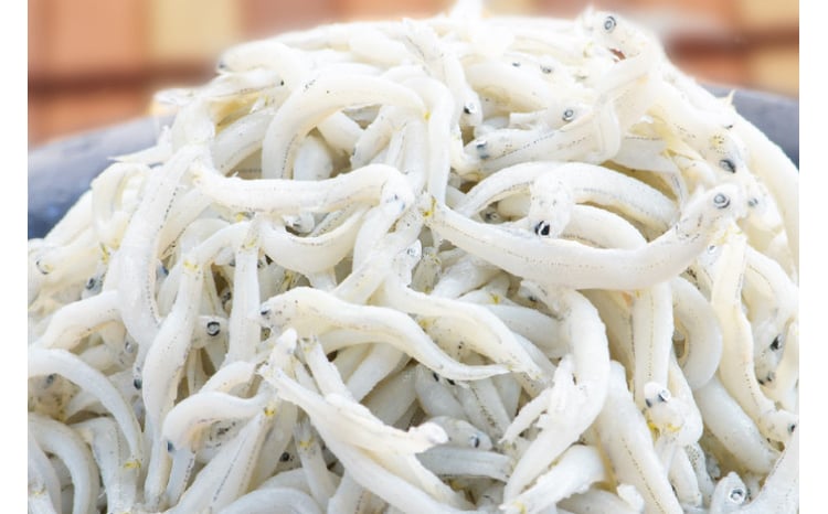 定期便 釜揚げしらす (1kg×12か月) 天然 釜揚げ ふっくら しらす