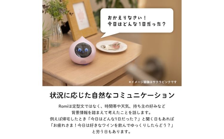 色が選べる】会話AIロボットRomi（Lacatanモデル）本体【会話AI