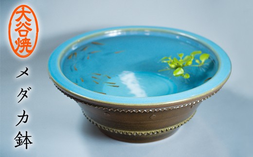 大谷焼 メダカ鉢（森陶器）伝統工芸 陶器 メダカ鉢 睡蓮蜂 インテリア