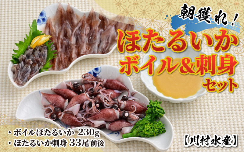 先行予約】ほたるいか ボイル＆刺身セット 鶴瓶の家族に乾杯で放送5.13
