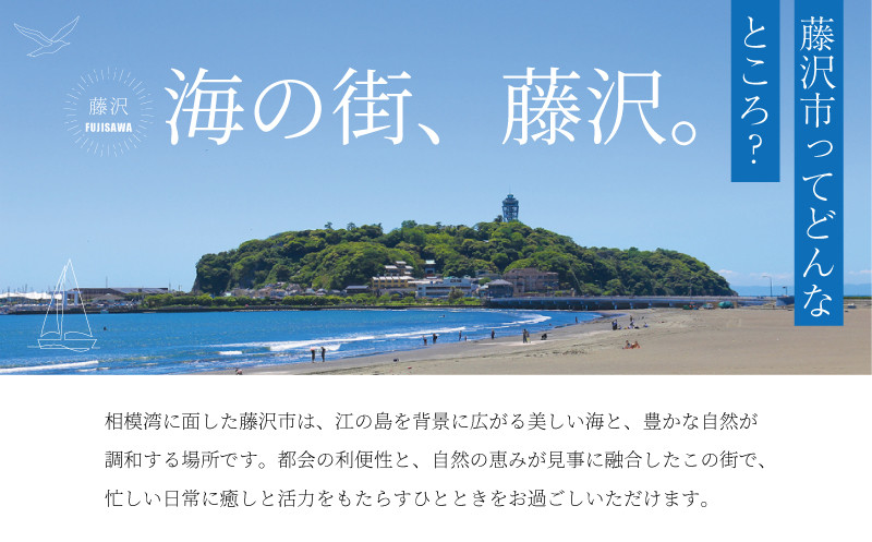 葛飾北斎 浮世絵「冨嶽三十六景 相州江の嶌」復刻版 額入りアート