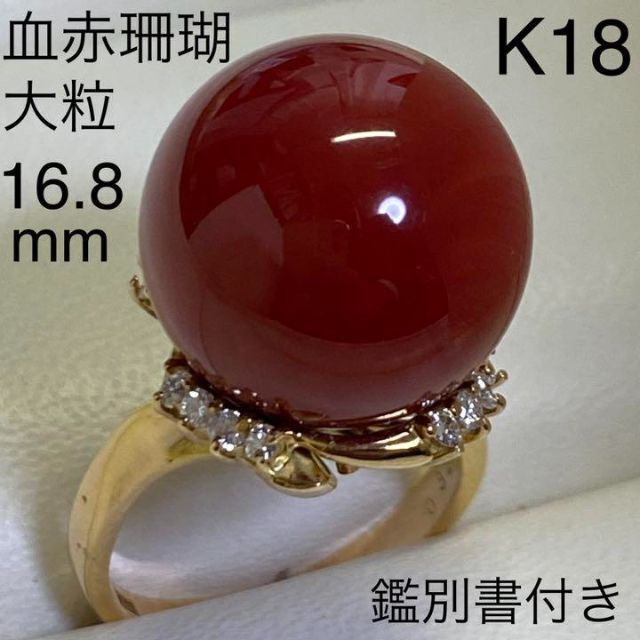 超大珠! K18 血赤珊瑚リング 16.8mm サイズ15号 鑑別書付き 最高級の
