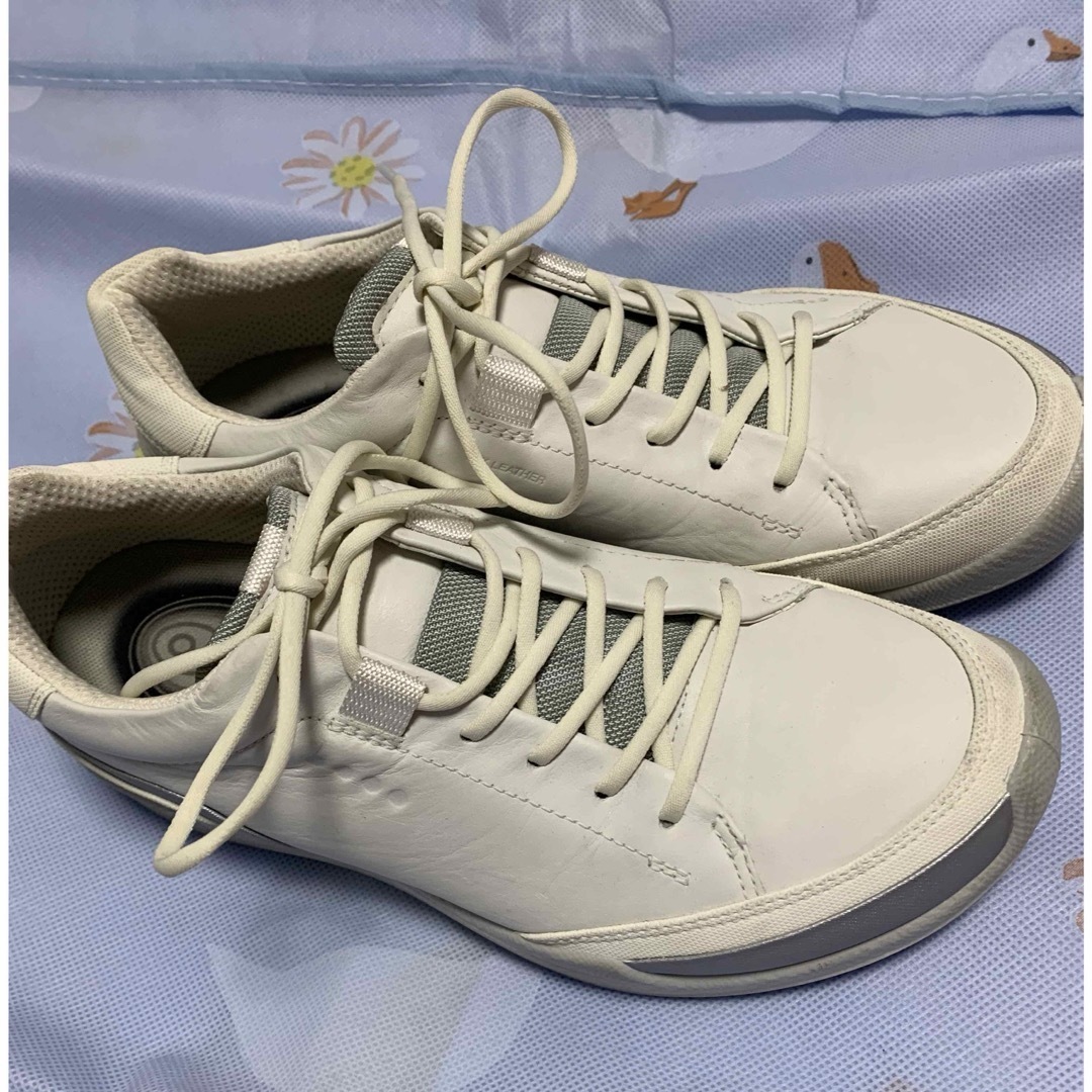 ECCO - ⛳️🩷エコ ゴルフシューズ レディース🩷サイズ 39 24.5