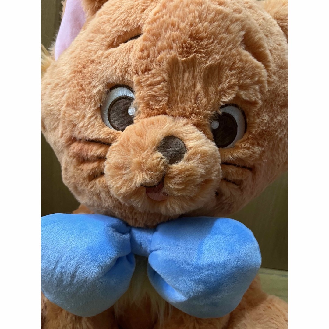 Disney - トゥルーズ☆ぬいぐるみ☆ブランケット付き☆約50cm