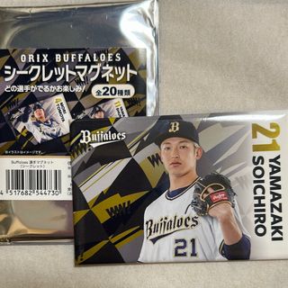 オリックス・バファローズ - オリックスバファローズ オリ姫 アクリル