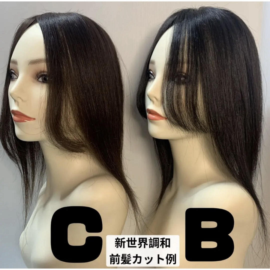 最新2026新世界8*13Part⑤＋ヘアピース 人毛レミー 総手植え の通販 by